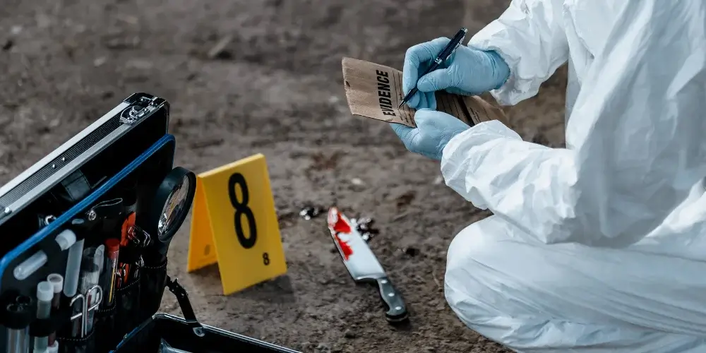 cursos perito judicial